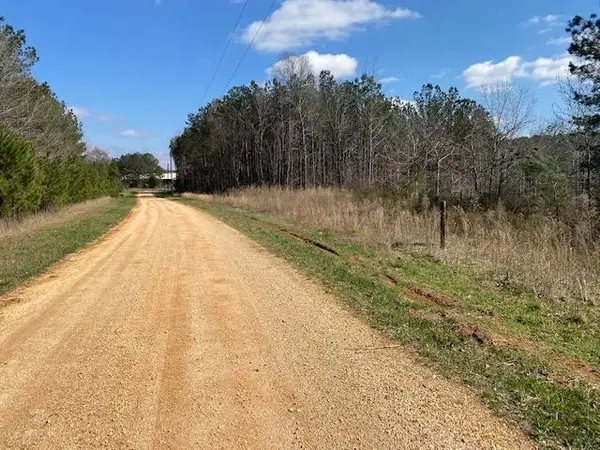 605 MASSEY LN, Savannah, TN 38372