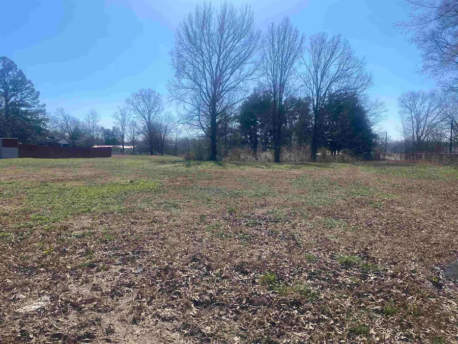 150 EUREKA ST, Savannah, TN 38372 - Image #2