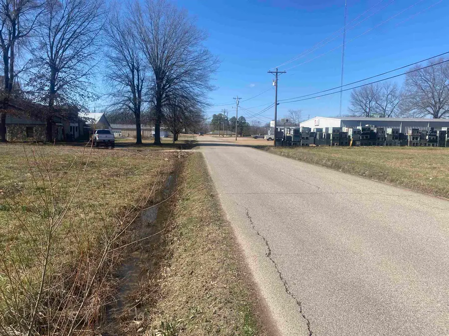 150 EUREKA ST, Savannah, TN 38372 - Image #3