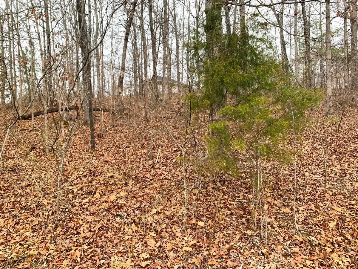 SPRINGWOOD DR, Selmer, TN 38375 - Image #1