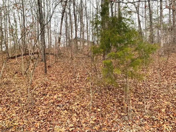 SPRINGWOOD DR, Selmer, TN 38375