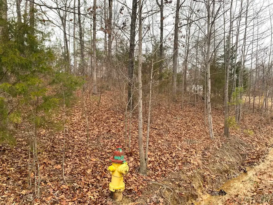 SPRINGWOOD DR, Selmer, TN 38375 - Image #2