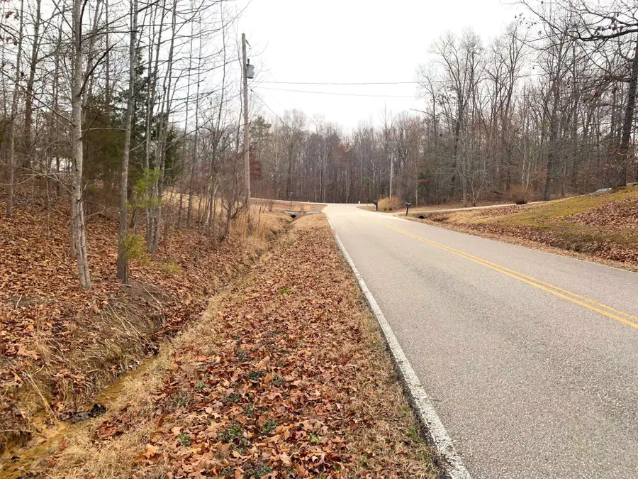 SPRINGWOOD DR, Selmer, TN 38375 - Image #3