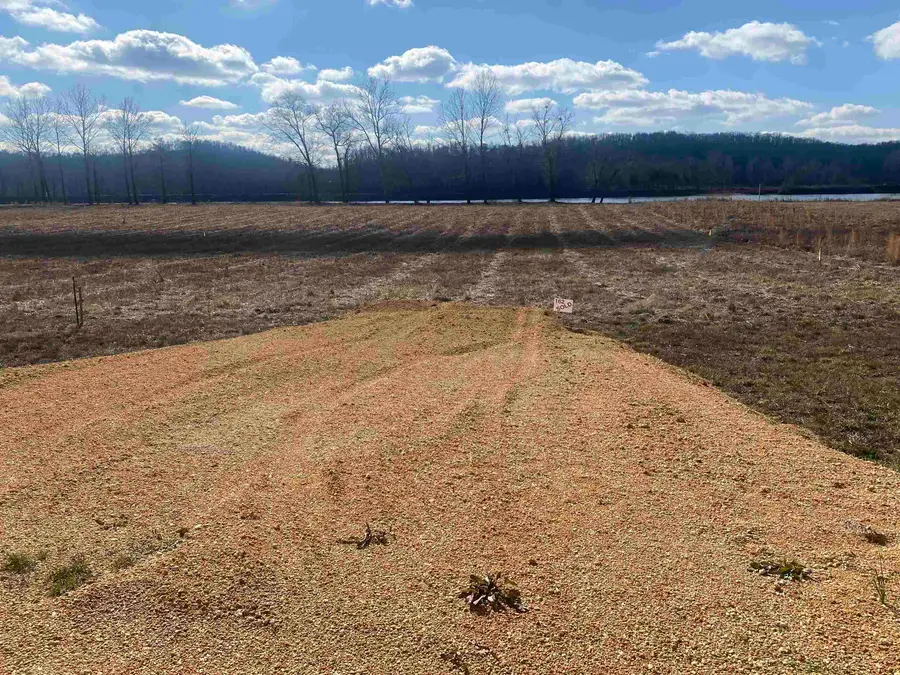 000 HARDIN BOTTOM RIVER RD, Clifton, TN 38425-9999 - Image #2