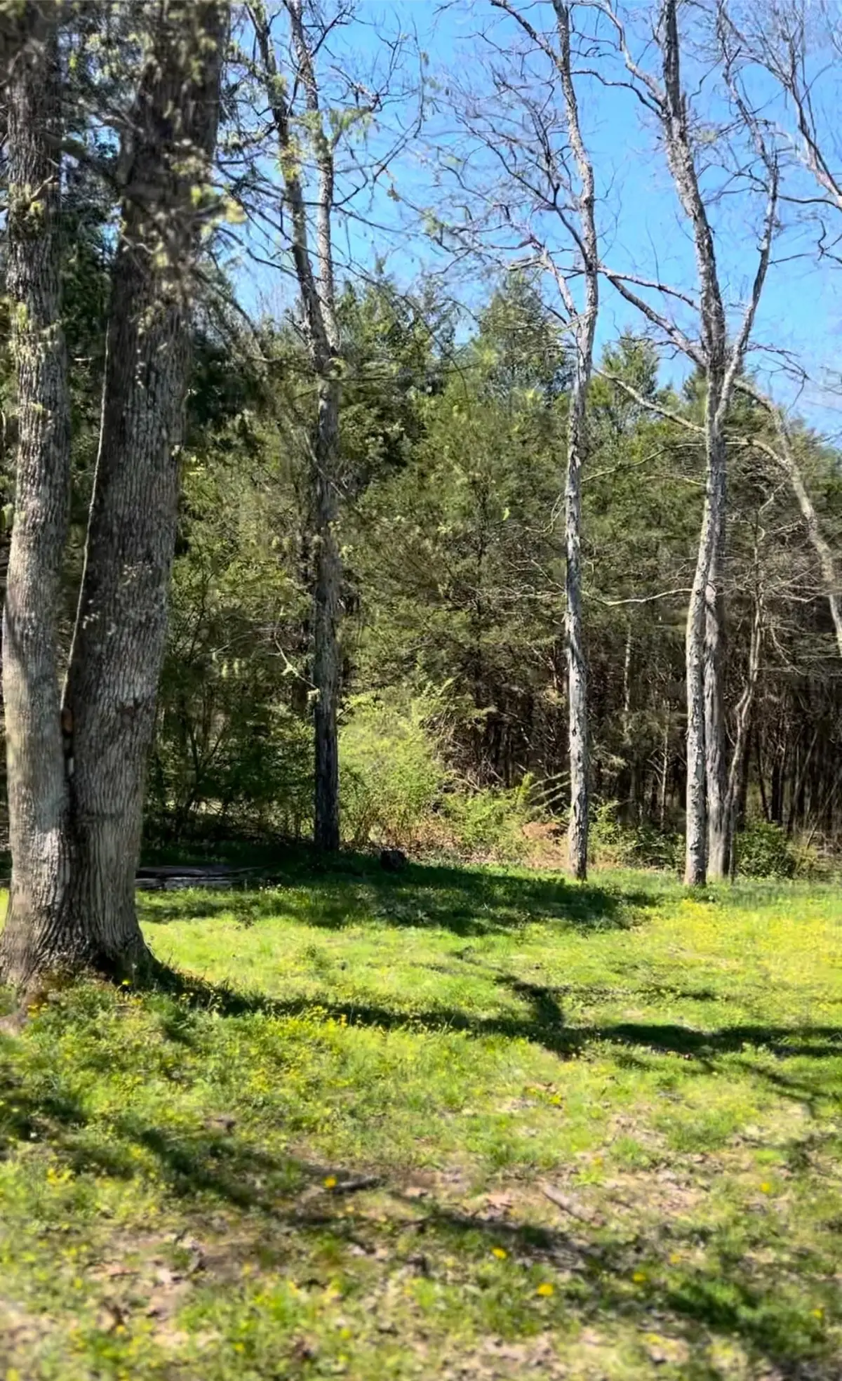 S DICKERSON CHAPEL RD, Lebanon, TN 37087 - Image #1