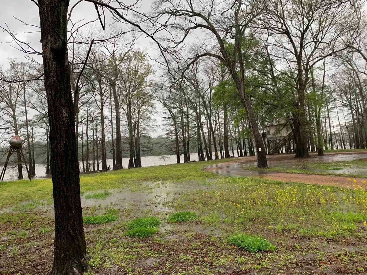 0 CHISHOLM LAKE SPUR RD, Ripley, TN 38063 - Image #1