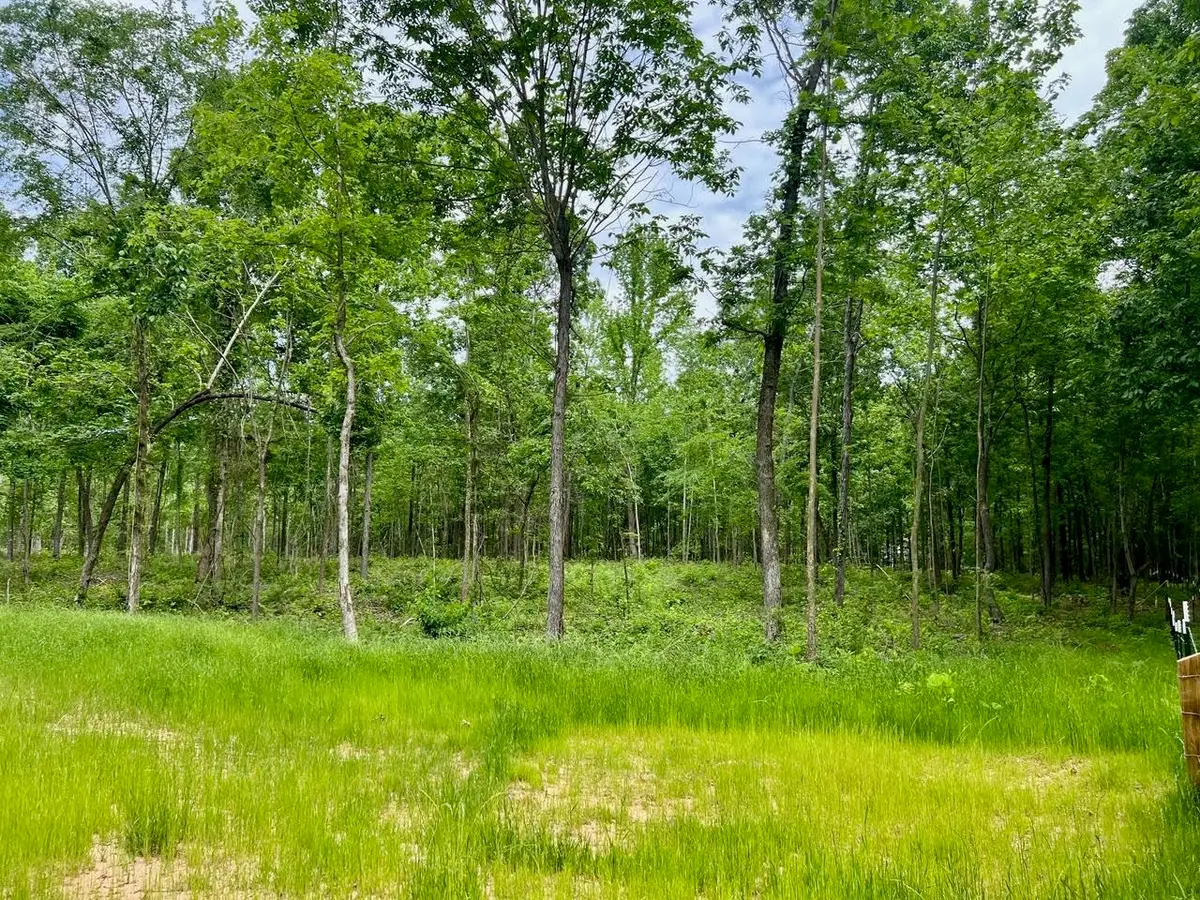 0 HIGHWAY 368 HWY, Grand Junction, TN 38039 - Image #1