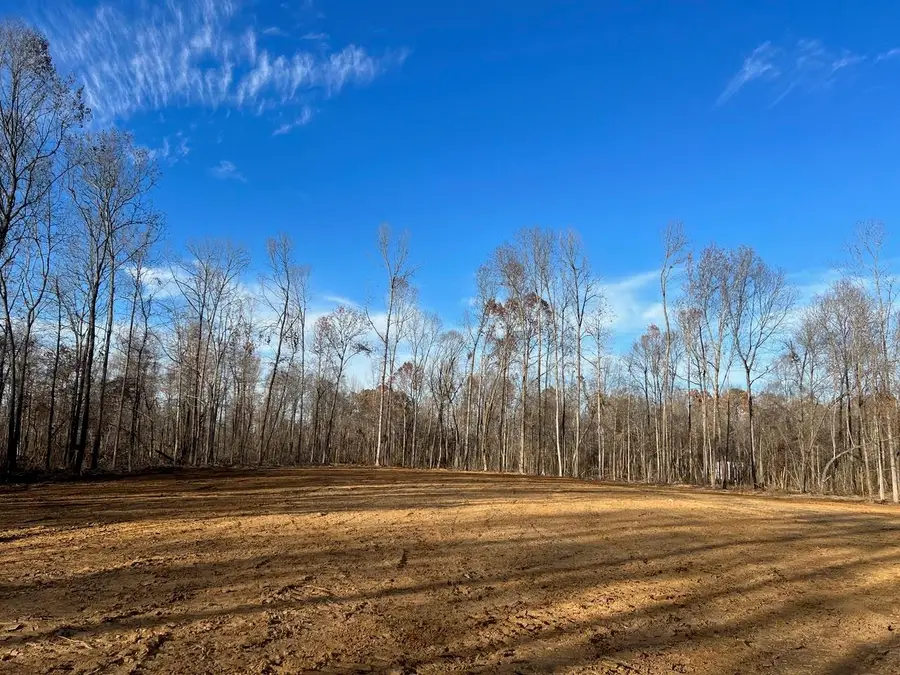 0 HIGHWAY 368 HWY, Grand Junction, TN 38039 - Image #3