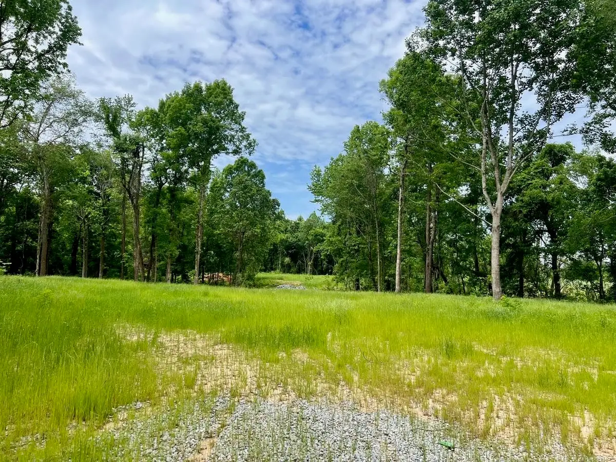 10 HIGHWAY 368 HWY, Grand Junction, TN 38039 - Image #1