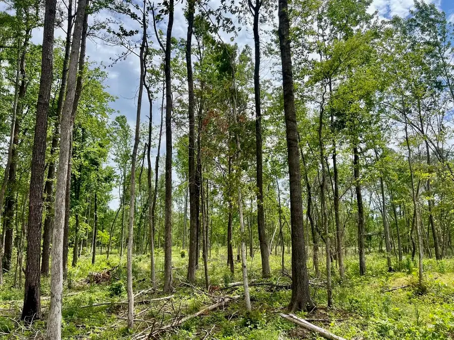 0 HIGHWAY 18 HWY, Grand Junction, TN 38039 - Image #3