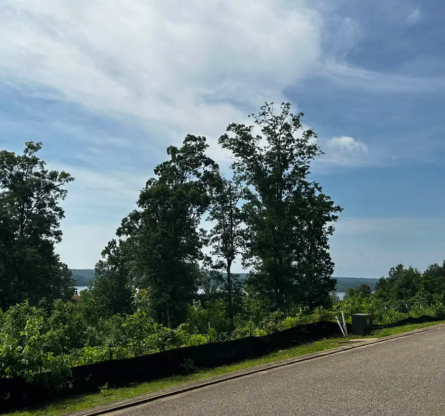 LOT 40 HIGH POINTE DR, Savannah, TN 38372 - Image #3