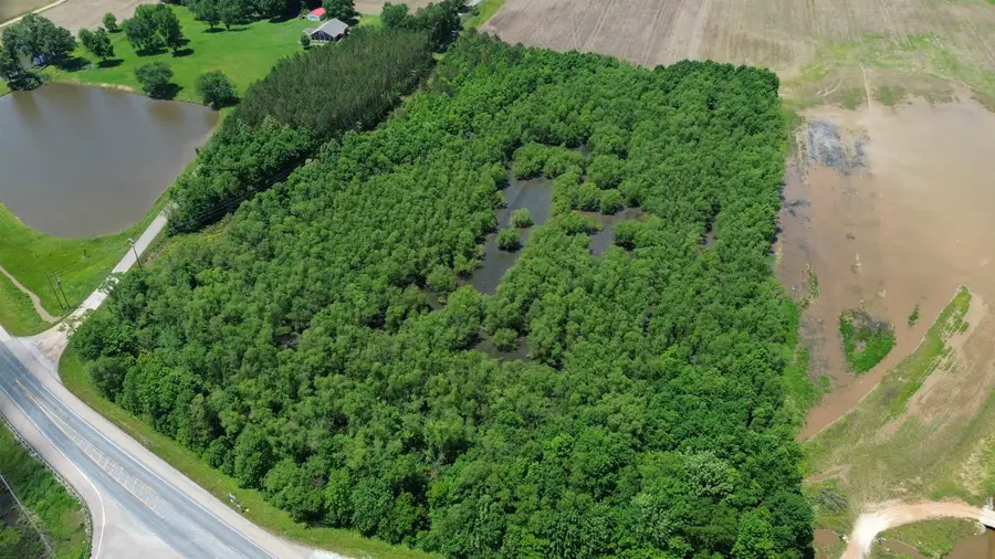 0 HARDIN GRAVEYARD RD, Morris Chapel, TN 38361 - Image #2