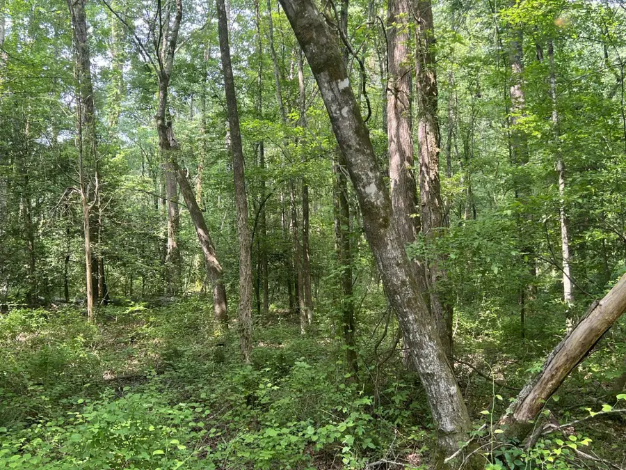 WEST FORK RD, Middleton, TN 38052 - Image #2