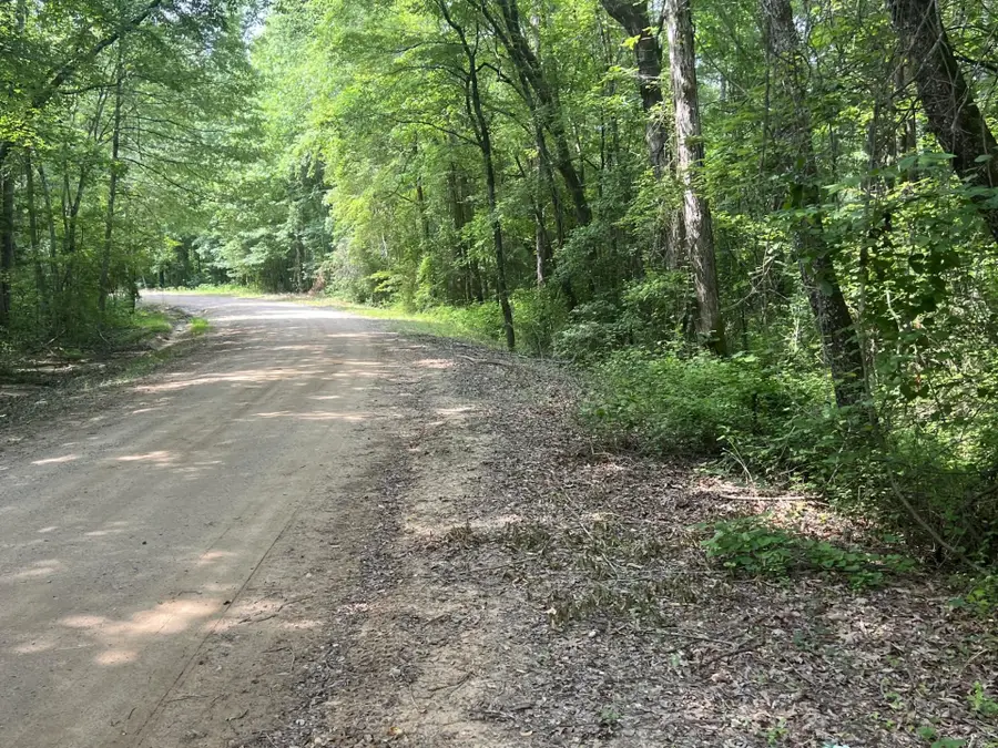 WEST FORK RD, Middleton, TN 38052 - Image #3