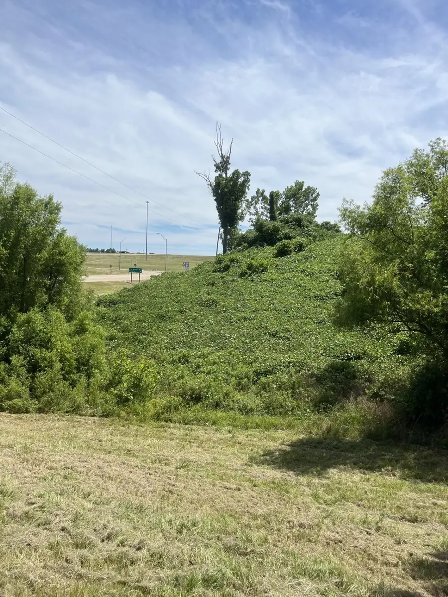 0 W HWY 178 HWY W, Blue Springs, MS 38828 - Image #3