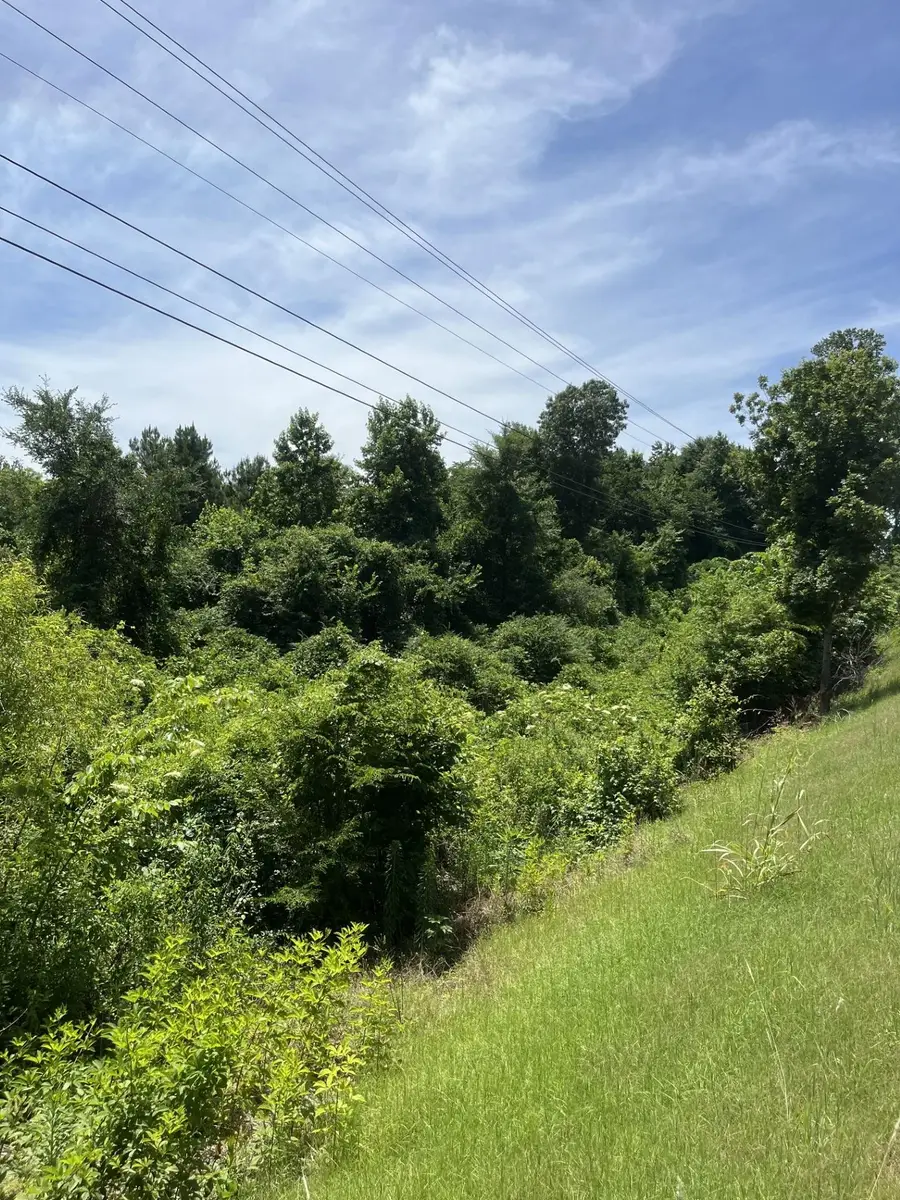 0 S HWY 9 HWY S, Blue Springs, MS 38828 - Image #3