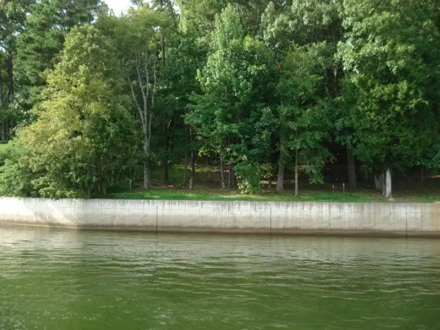 240 BREATHTAKING LOOP, Savannah, TN 38372 - Image #1