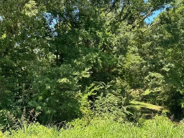 0 HIGHWAY 196 HWY, Piperton, TN 38017 - Image #2