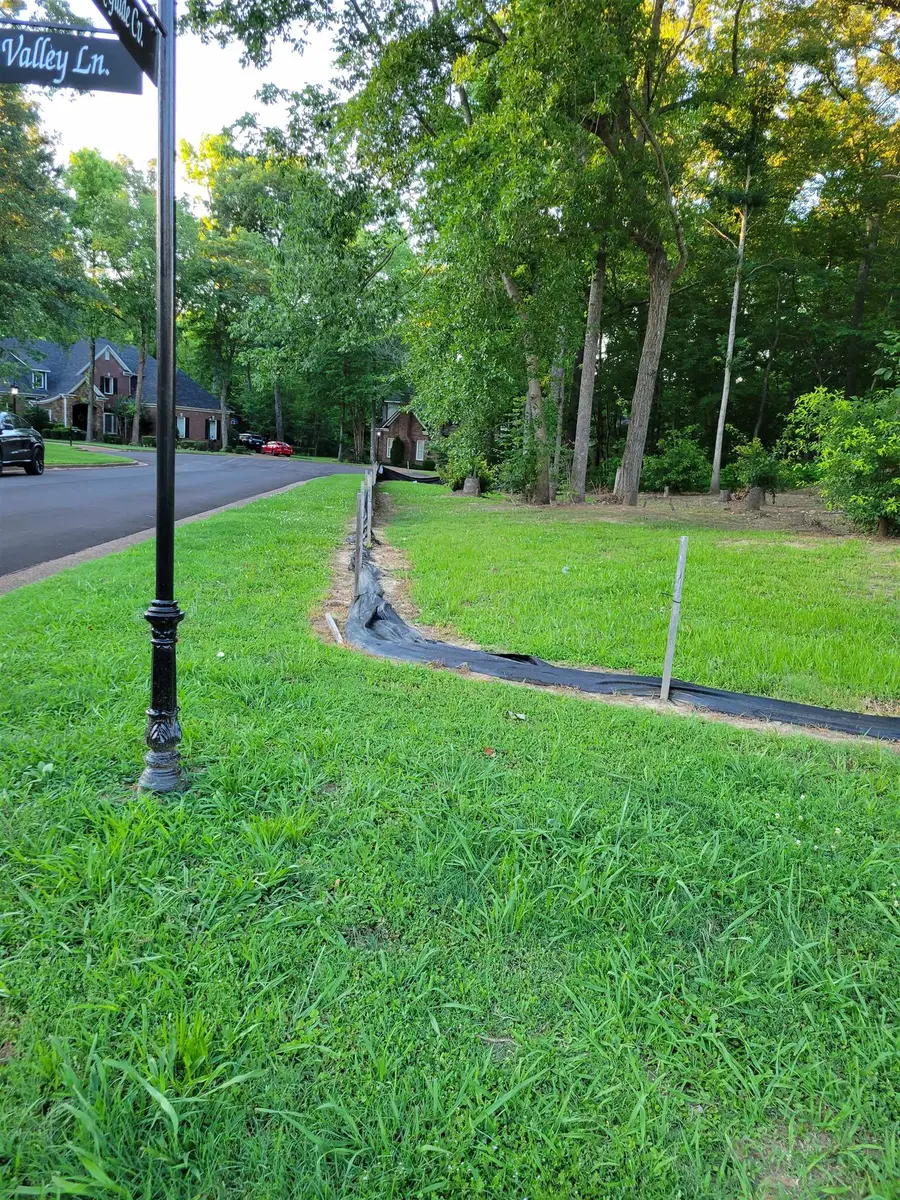 9208 BEAVER VALLEY LN, Cordova, TN 38018 - Image #2