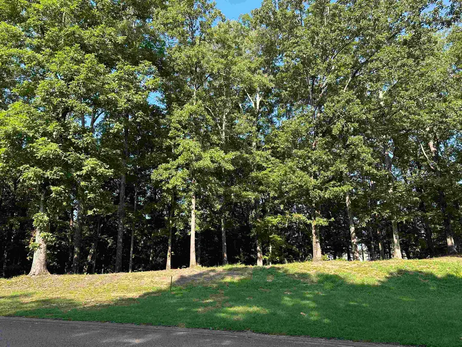 94 PRESERVE BLVD, Savannah, TN 38372 - Image #3