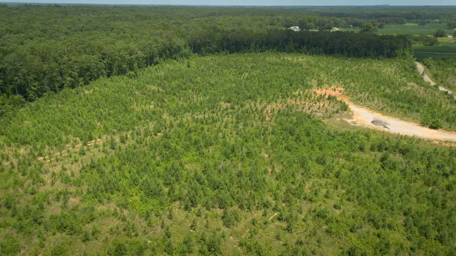 0 YOUNG RD, Finger, TN 38334 - Image #2