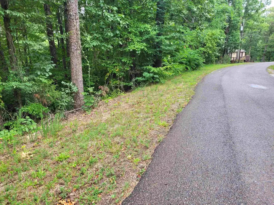 0 YEAGER LN, Counce, TN 38326 - Image #2