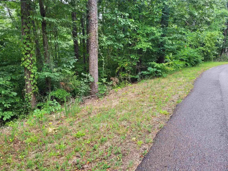 0 YEAGER LN, Counce, TN 38326 - Image #3