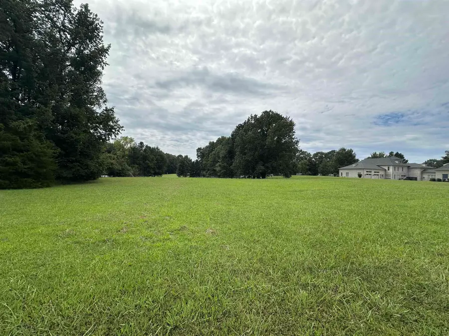 530 LEXINGTON MANOR LN #lot 29, Eads, TN 38028 - Image #3
