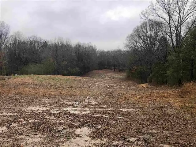 1698 PISGAH RD, Cordova, TN 38028 - Image #1