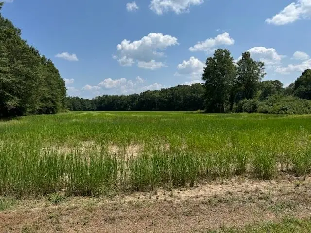 MEADOW OAKS LN, Bolivar, TN 38008 - Image #3