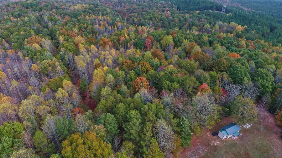 535 MEGAN LN, Savannah, TN 38372 - Image #2