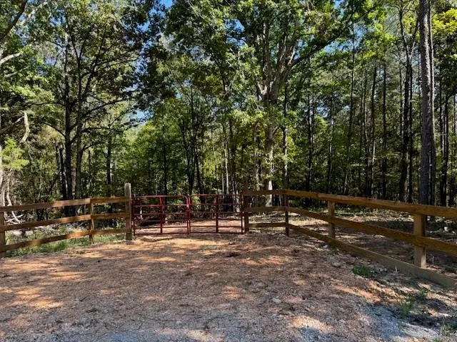 TEAGUE RD, Toone, TN 38381 - Image #2