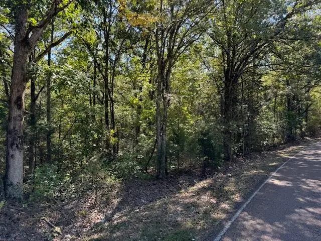 TEAGUE RD, Toone, TN 38381 - Image #3