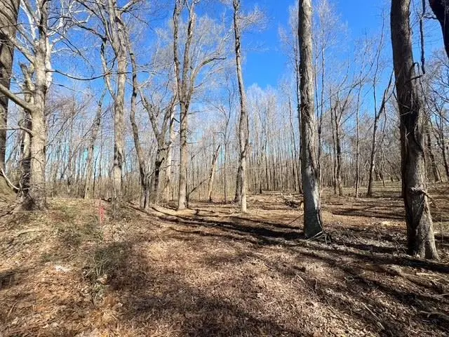 TRACT 9 POWDER PLANT DR, Millington, TN 38053-5311 - Image #2