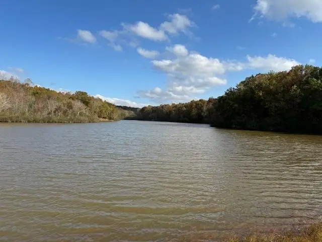 GUM CV, Saulsbury, TN 38067 - Image #2