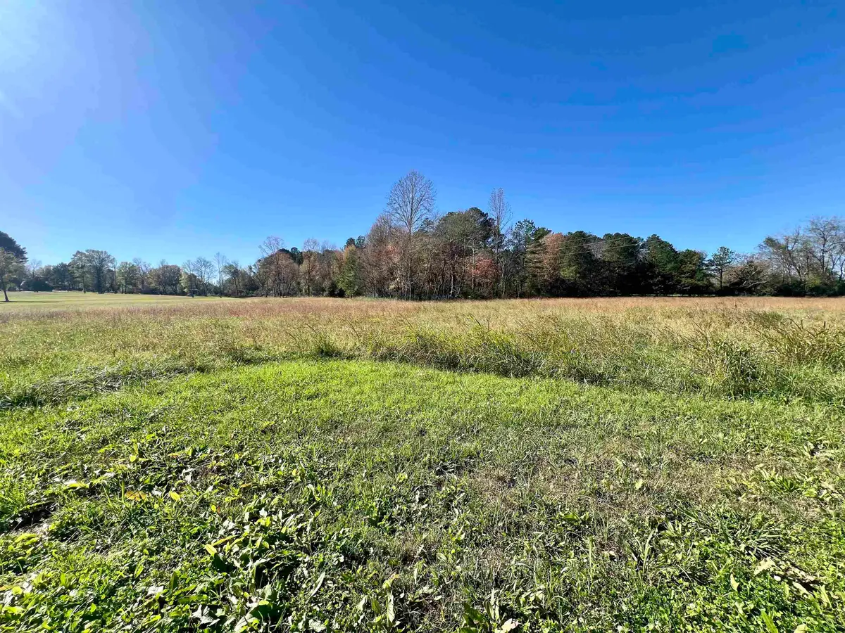 125 S PALMER ST, Adamsville, TN 38310 - Image #1