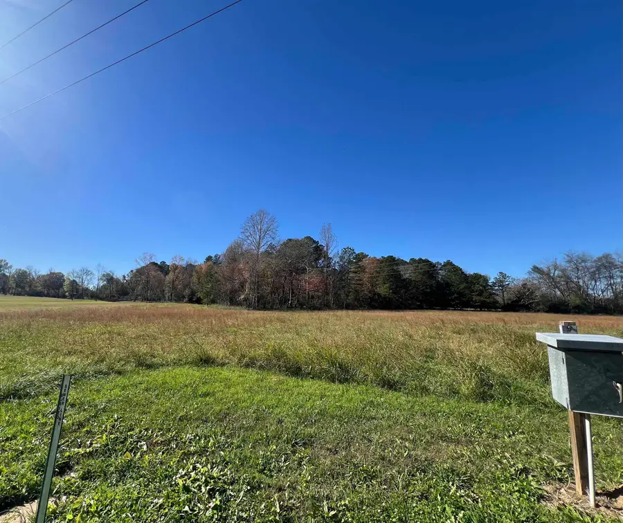 125 S PALMER ST, Adamsville, TN 38310 - Image #3