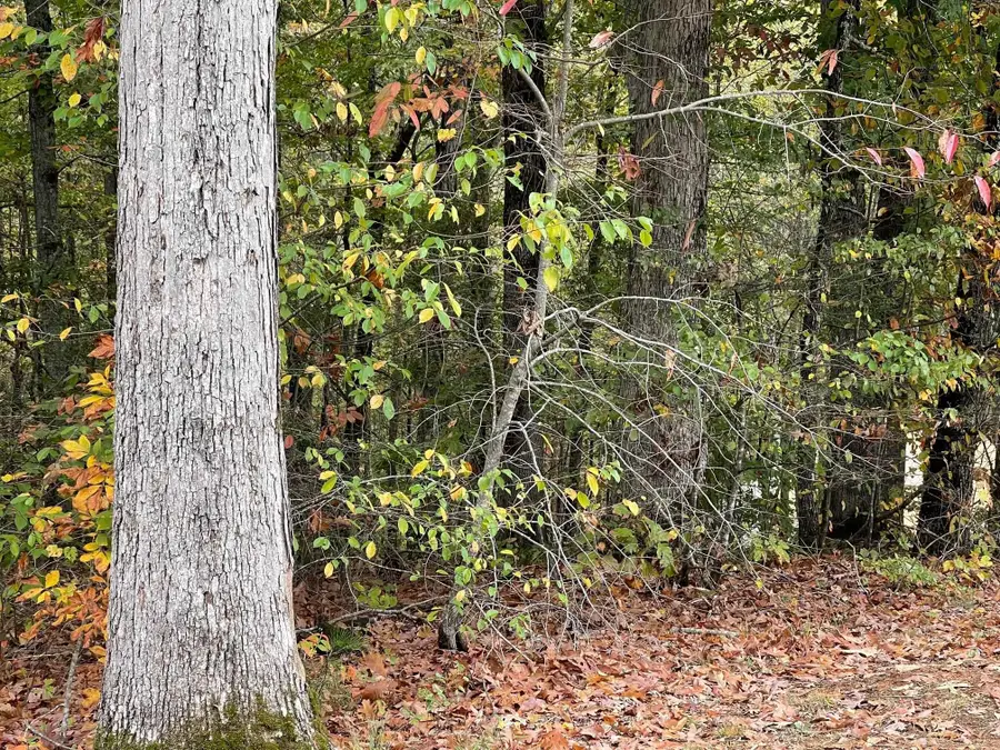 0 NORTHSHORE DR, Savannah, TN 38372 - Image #2