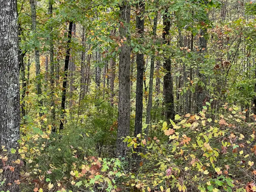 0 NORTHSHORE DR, Savannah, TN 38372 - Image #3