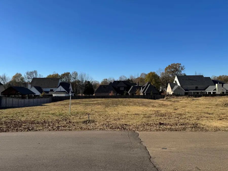 425 CASSIDY LN, Collierville, TN 38017 - Image #3