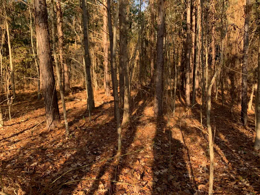 3 SULPHUR SPRINGS RD, Selmer, TN 38375 - Image #2