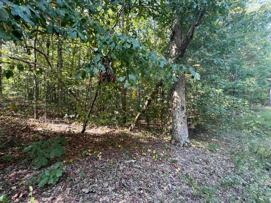 0060 JOANNE LOOP, Savannah, TN 38372 - Image #2