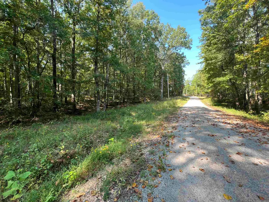 0061 JOANNE LOOP, Savannah, TN 38372 - Image #3
