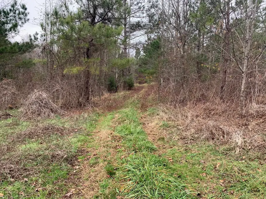 9 SULPHUR SPRINGS RD, Selmer, TN 38375 - Image #2