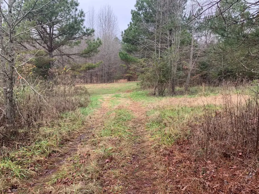 9 SULPHUR SPRINGS RD, Selmer, TN 38375 - Image #3