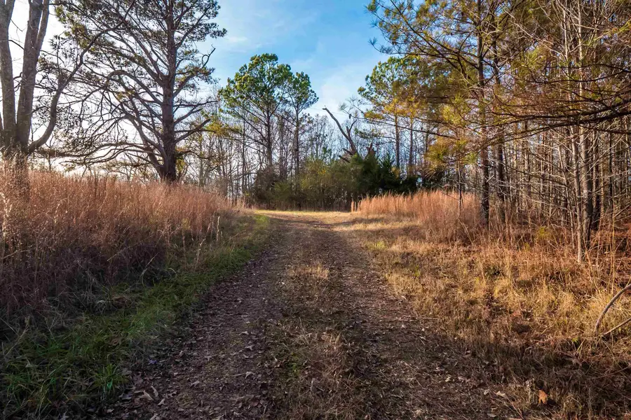 4450 ARMOUR DR, Somerville, TN 38068 - Image #3