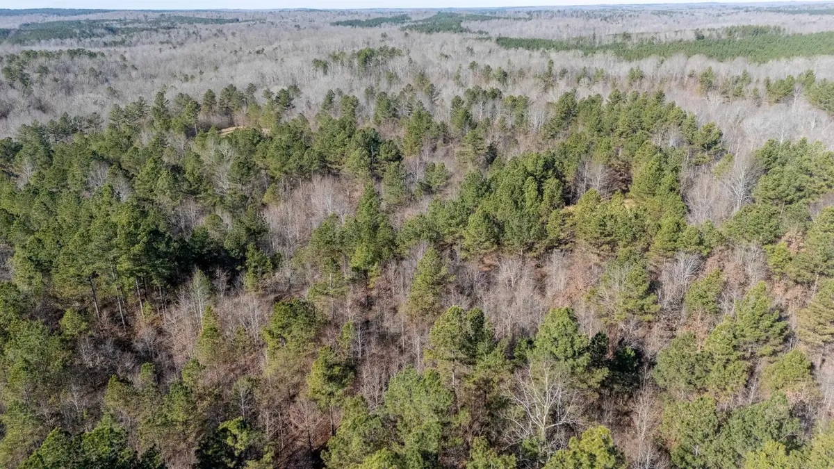 HOWELL RD, Hornsby, TN 38044 - Image #1