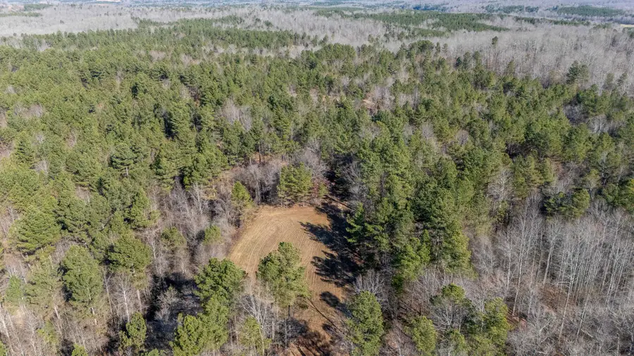 HOWELL RD, Hornsby, TN 38044 - Image #2