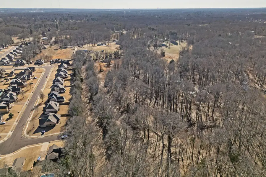 0 HAMPTON MEADOW LN, Bartlett, TN 38002 - Image #3