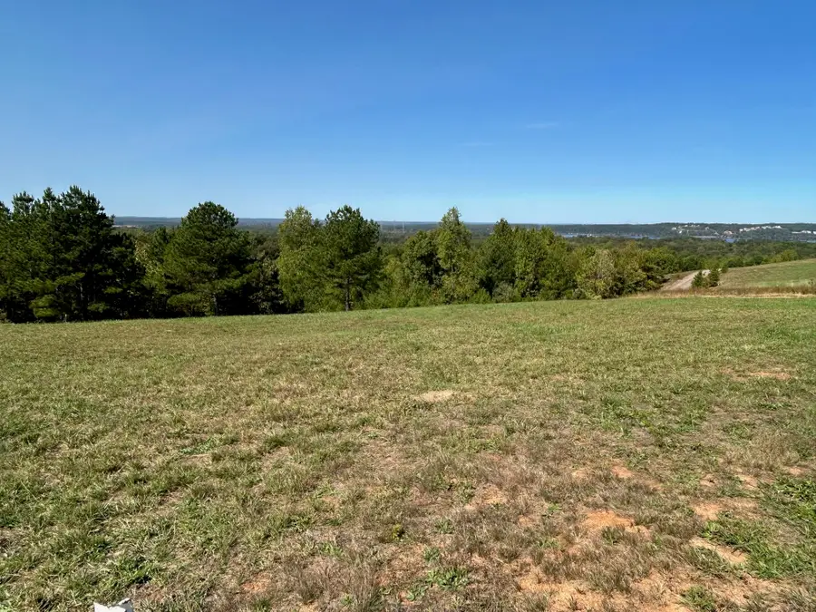 375 TURKEY KNOB LN, Counce, TN 38326 - Image #2